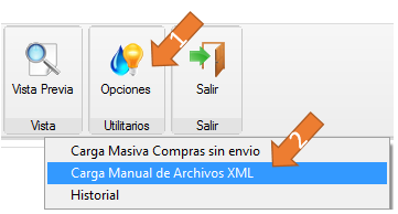 CargaManualXML.PNG